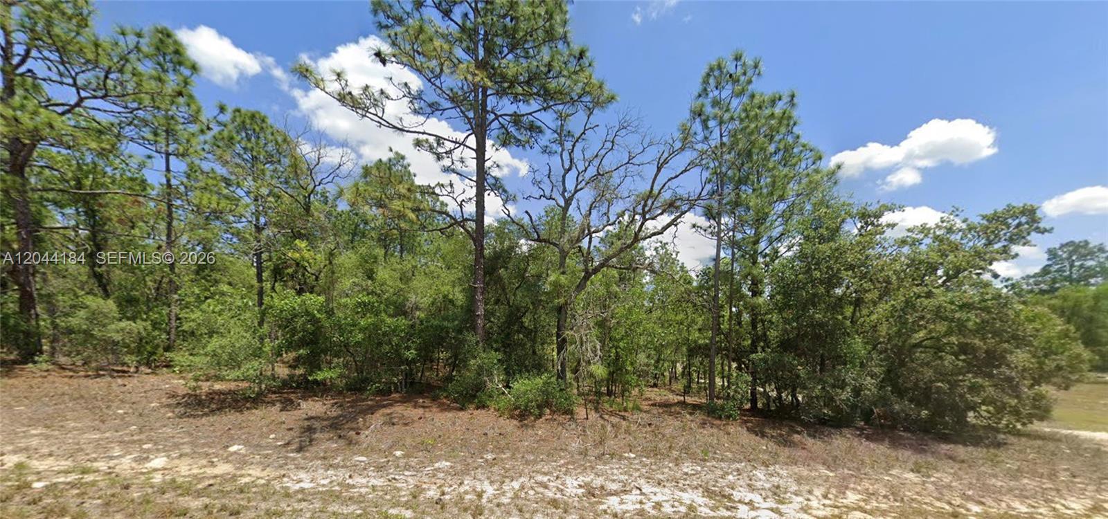 9857 N Lathyrus Ter, Citrus Springs FL 34433