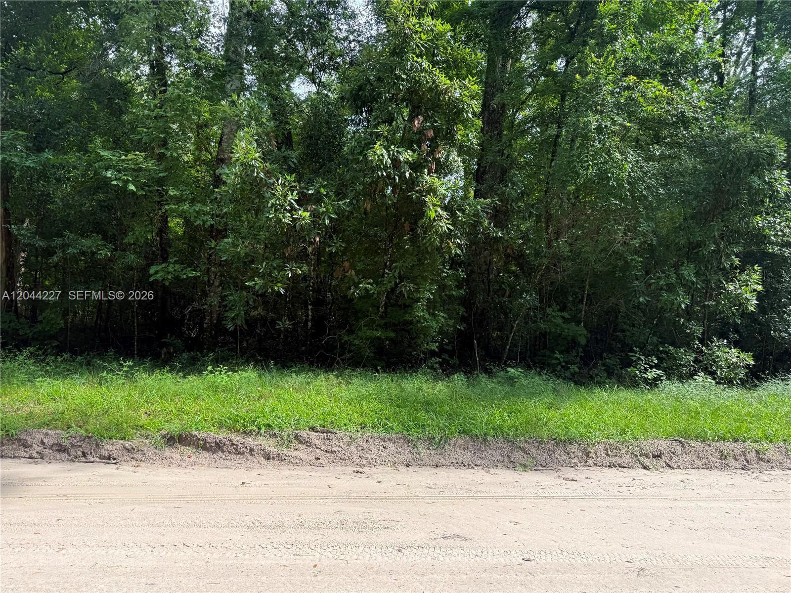 36 SW Bumble Street Fort White, FL 32038 photo 2