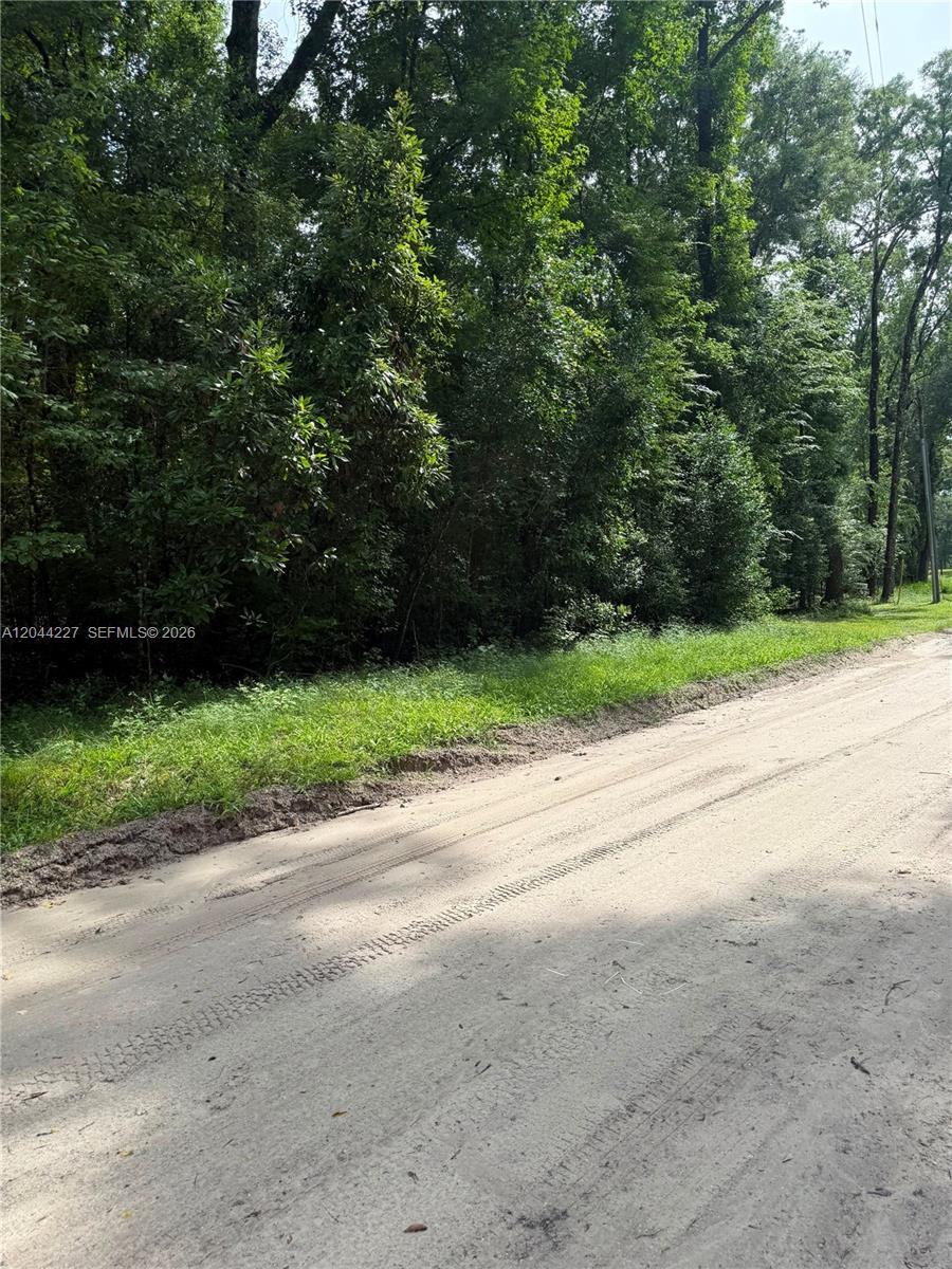 36 SW Bumble Street Fort White, FL 32038 photo 3