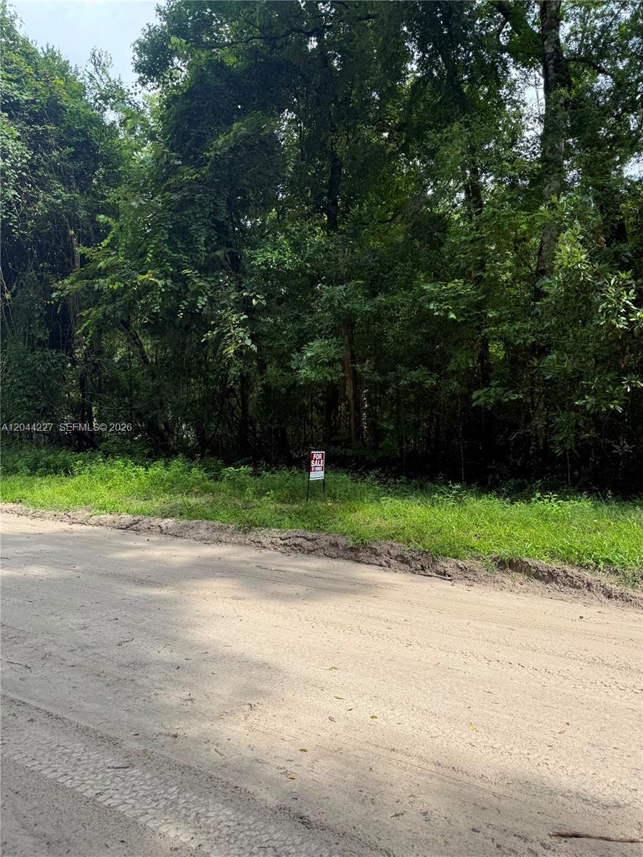 36 SW Bumble Street Fort White, FL 32038 photo 4