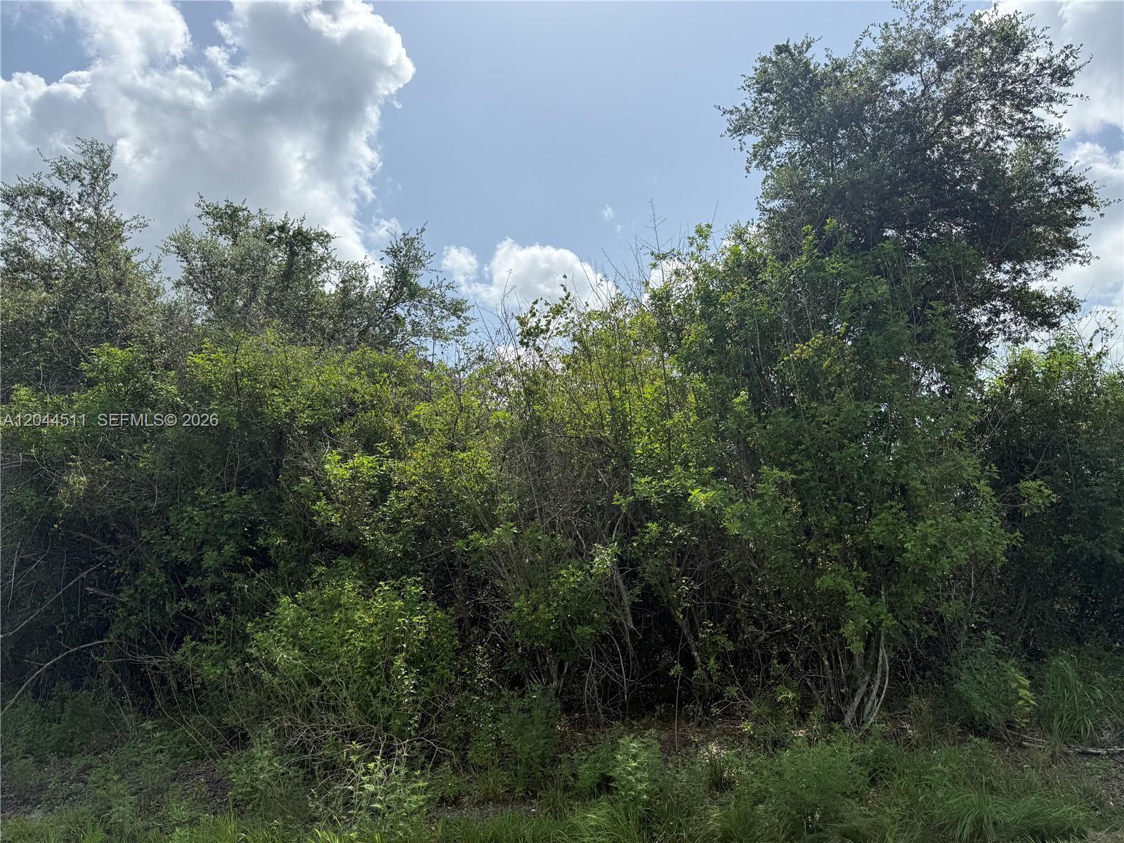 625 N GRANJA ST, Clewiston FL 33440 photo 2