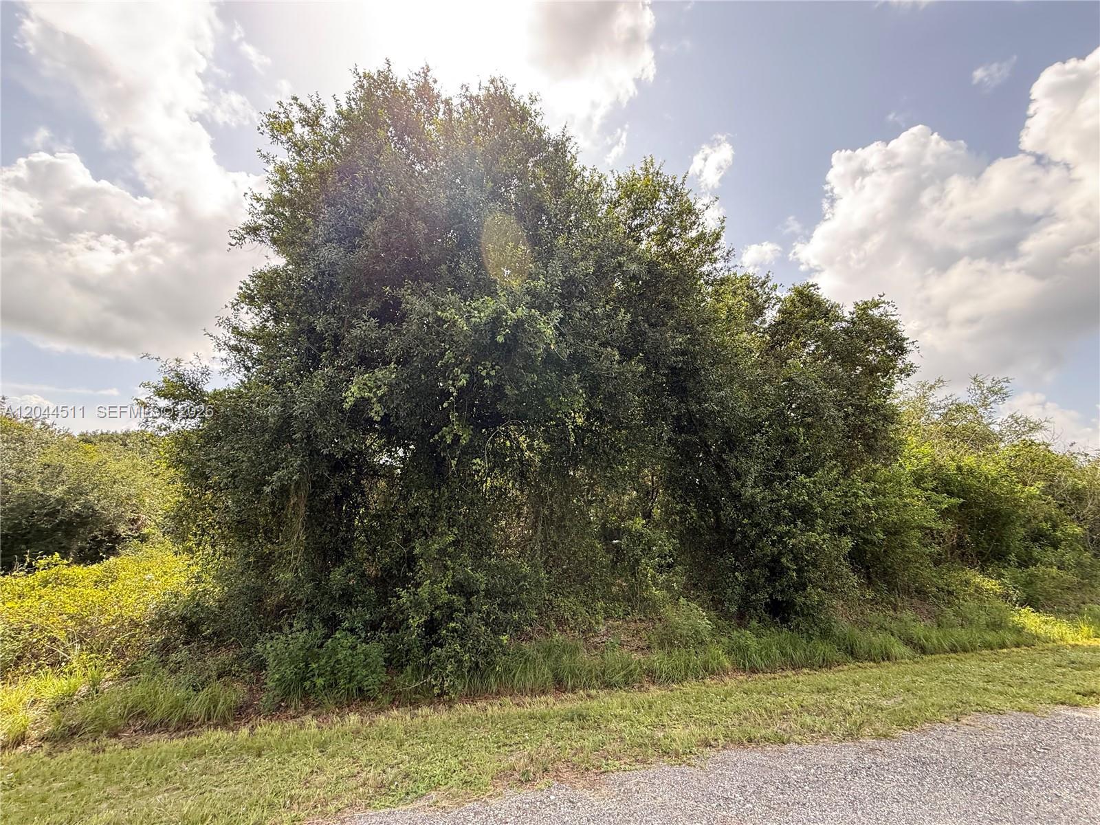 625 N GRANJA ST, Clewiston FL 33440