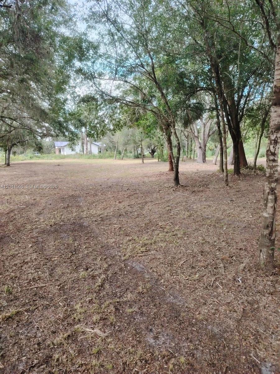 175 Avenida del Club, Clewiston FL 33440 photo 3