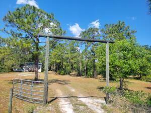 1155 NE 342nd Trail, Okeechobee FL 34972 photo 3