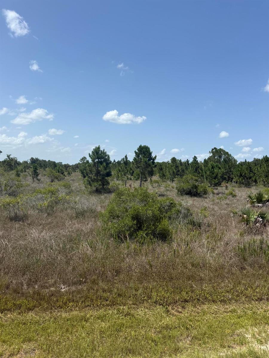 15463 NW 306th Street, Okeechobee FL 34972 photo 2