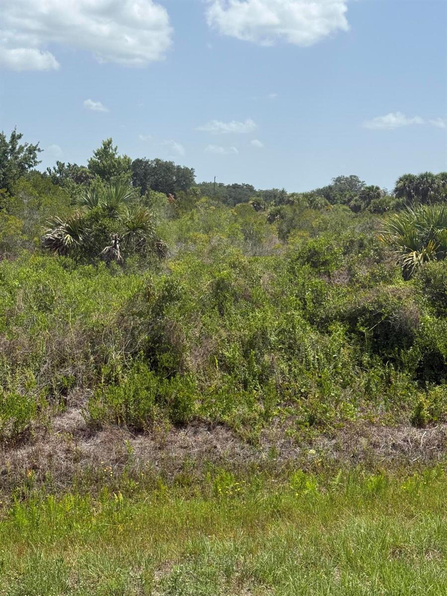 20862 NW 262nd Street, Okeechobee FL 34972 photo 2