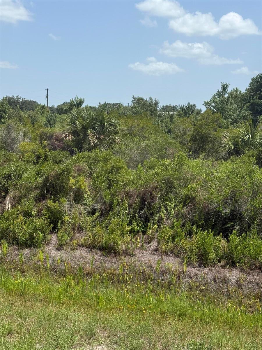 20862 NW 262nd Street, Okeechobee FL 34972 photo 3