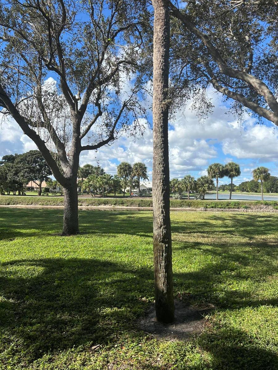 2900 SW 22nd Circle # 221d, Delray Beach FL 33445 photo 4