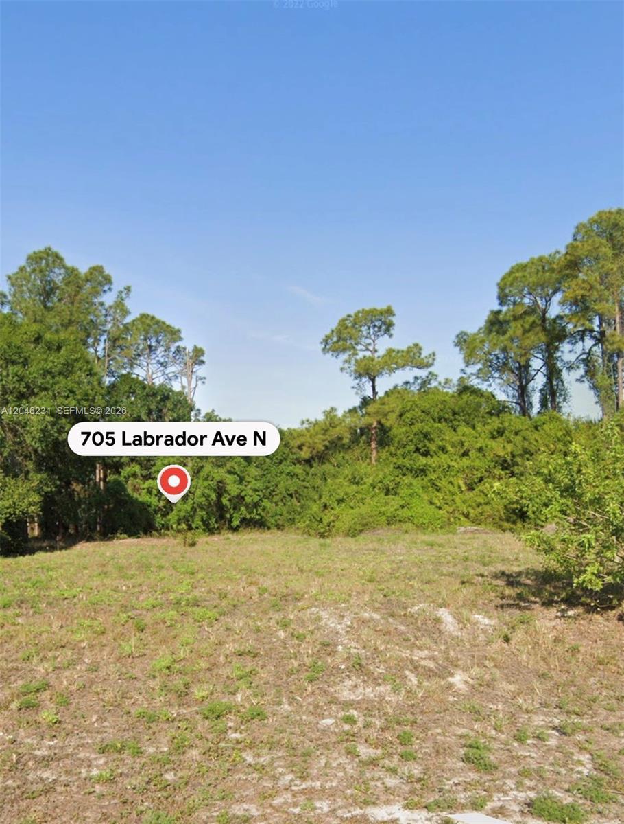 705 LABRADOR AVE N, Lehigh Acres FL 33971 photo 3