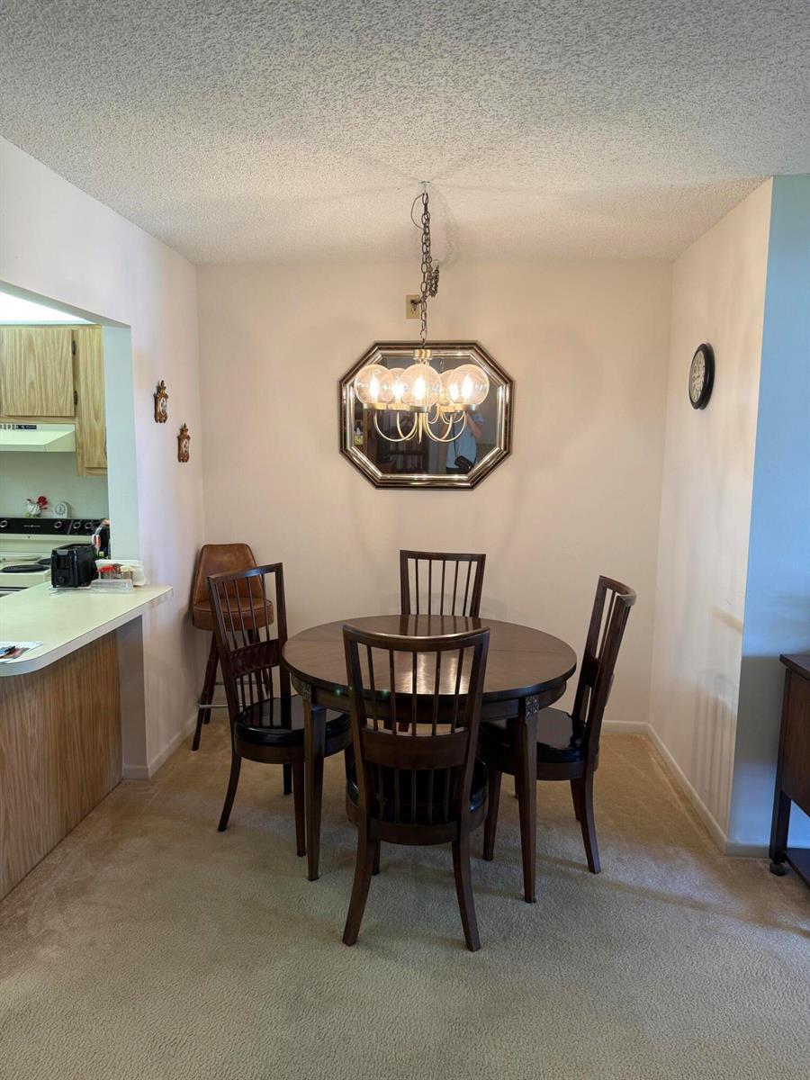 422 Pine Glen Lane # 1, FL 33463 photo 3