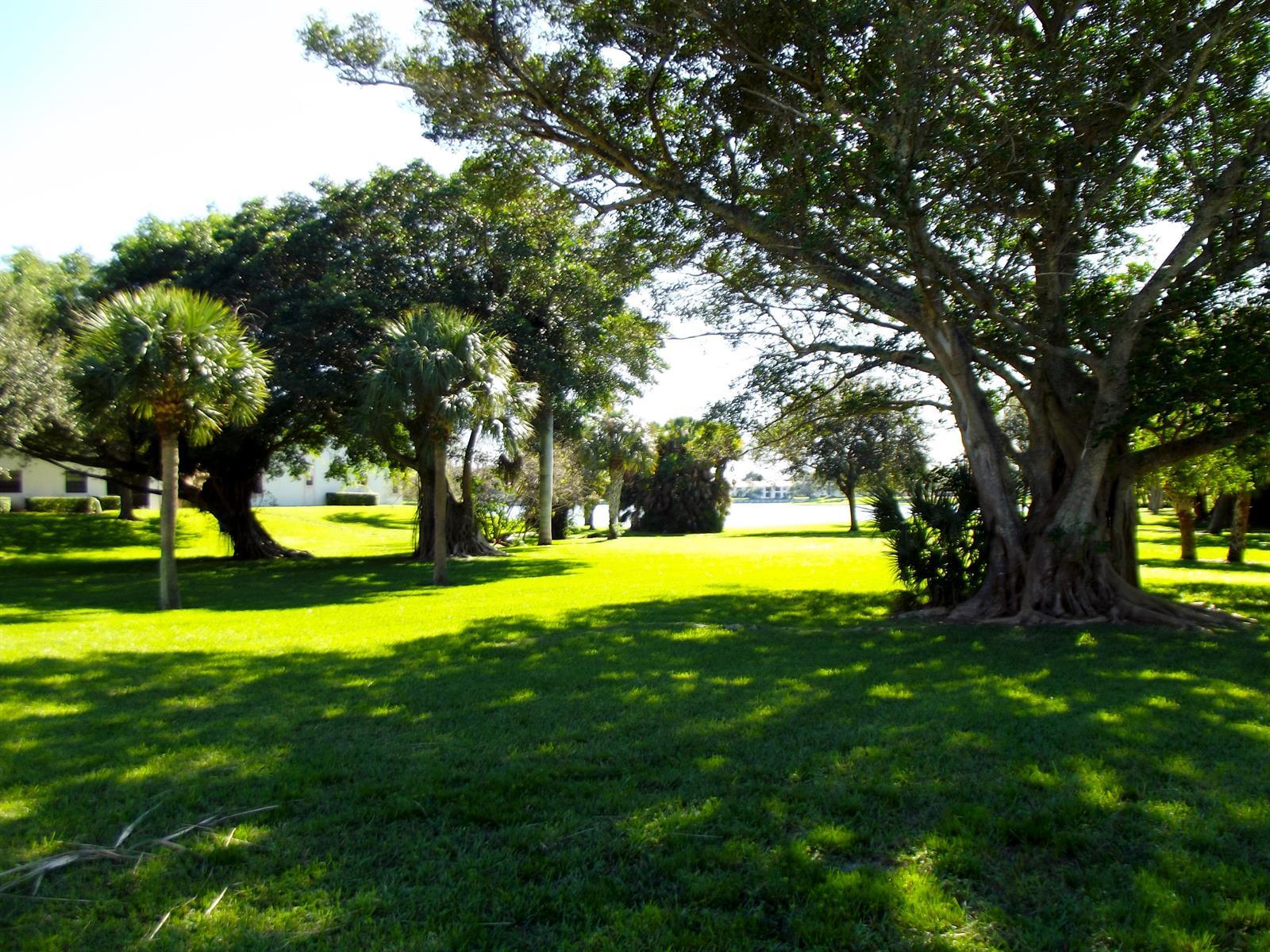 3355 Jaywood Terrace # 2140, Boca Raton FL 33431 photo 5