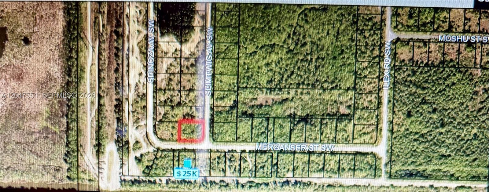 Merganser St SW & Slimtwig Ave, Palm Bay FL 32908 photo 3