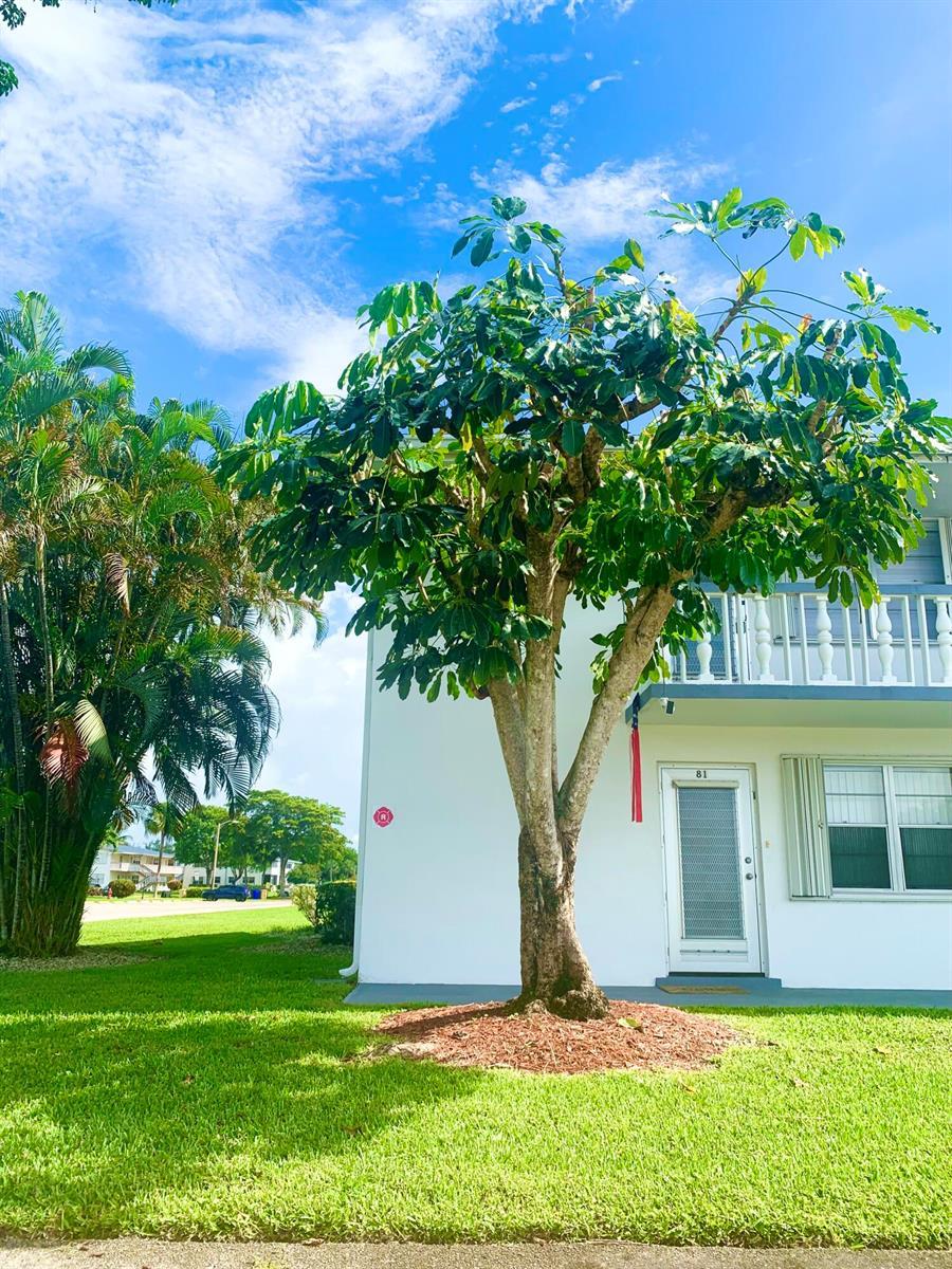 81 Kingswood E, West Palm Beach FL 33417