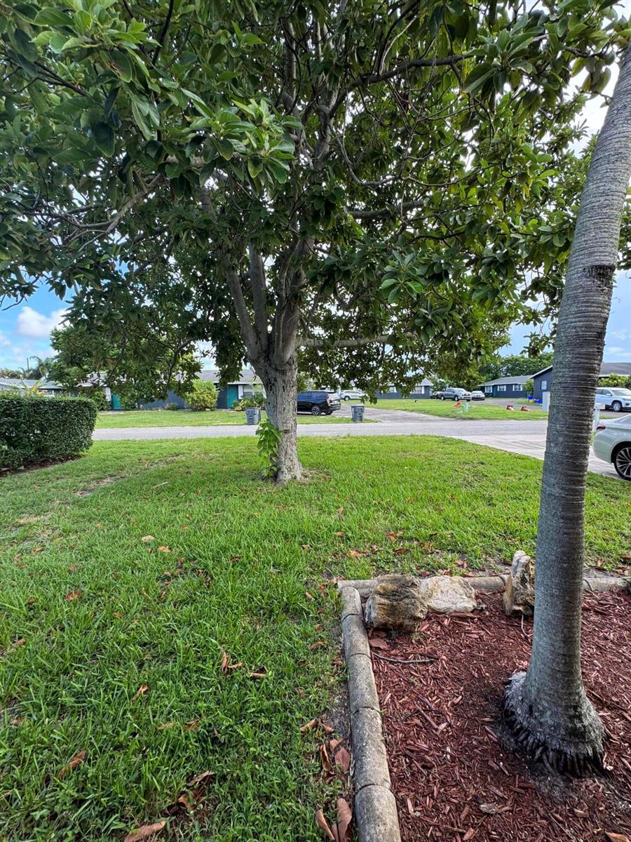 4353 Broadway Street, Lake Worth FL 33461 photo 3