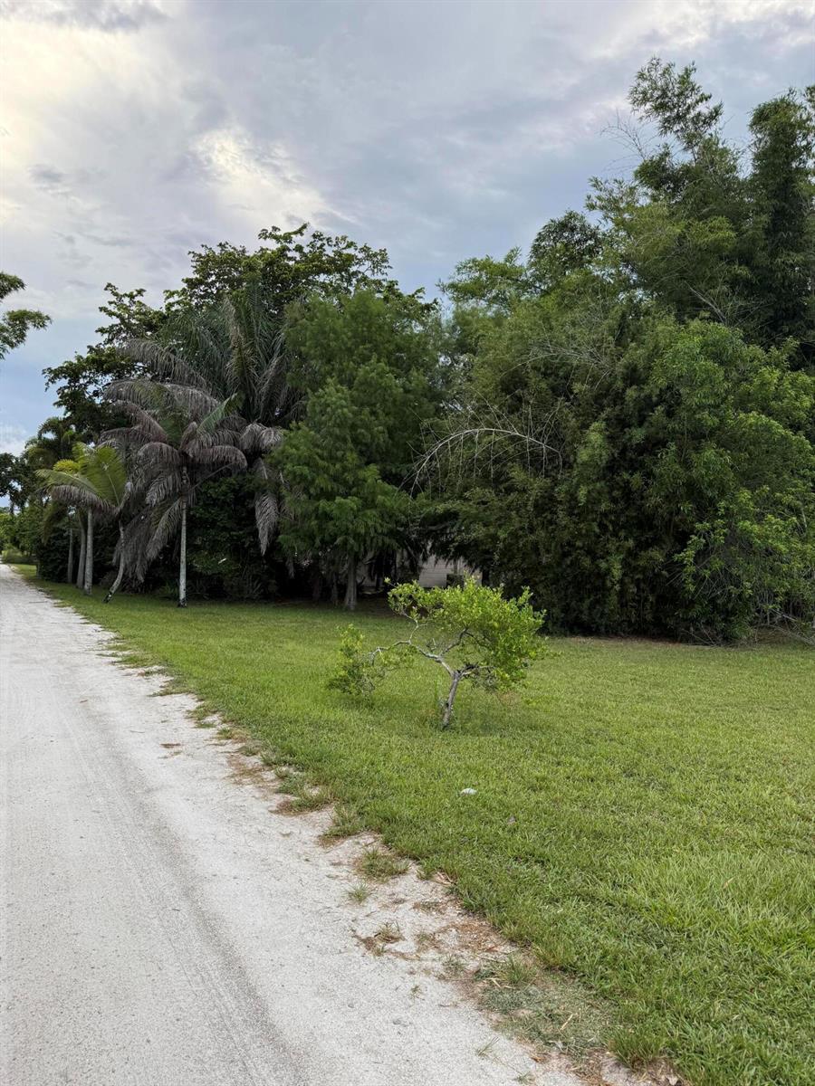 345 Citrus Drive, FL 33470 photo 2