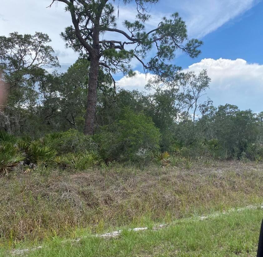 1002 Archie Summers Road, Lake Placid FL 33852