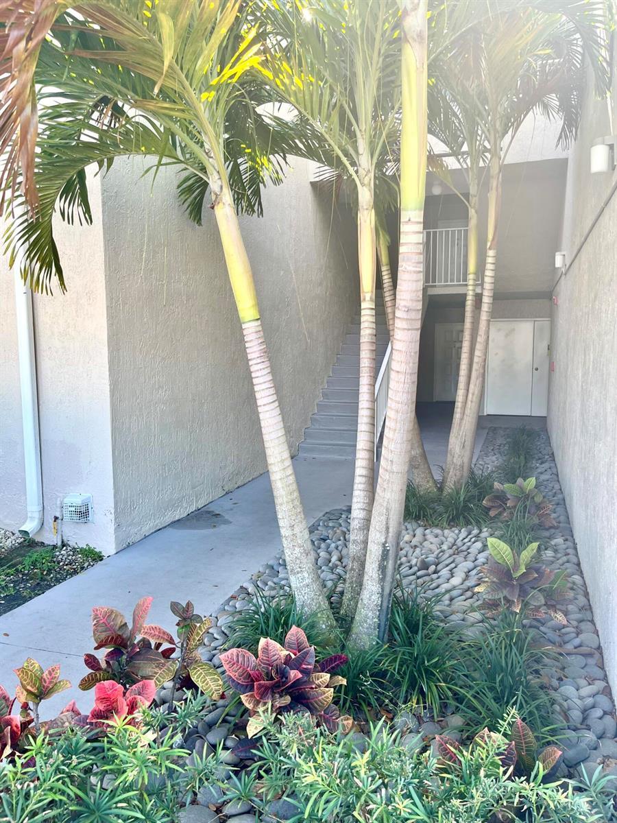 2820 N Oakland Forest Drive # 203, Oakland Park FL 33309