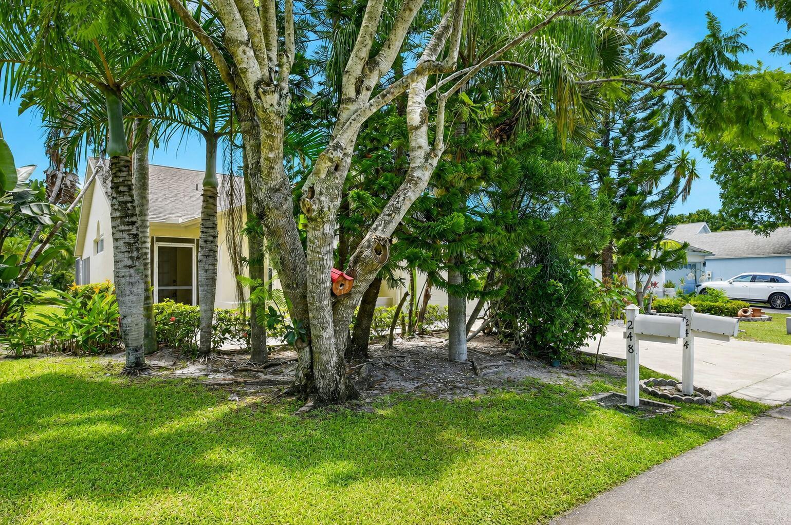 244 Trails End, FL 33413 photo 3