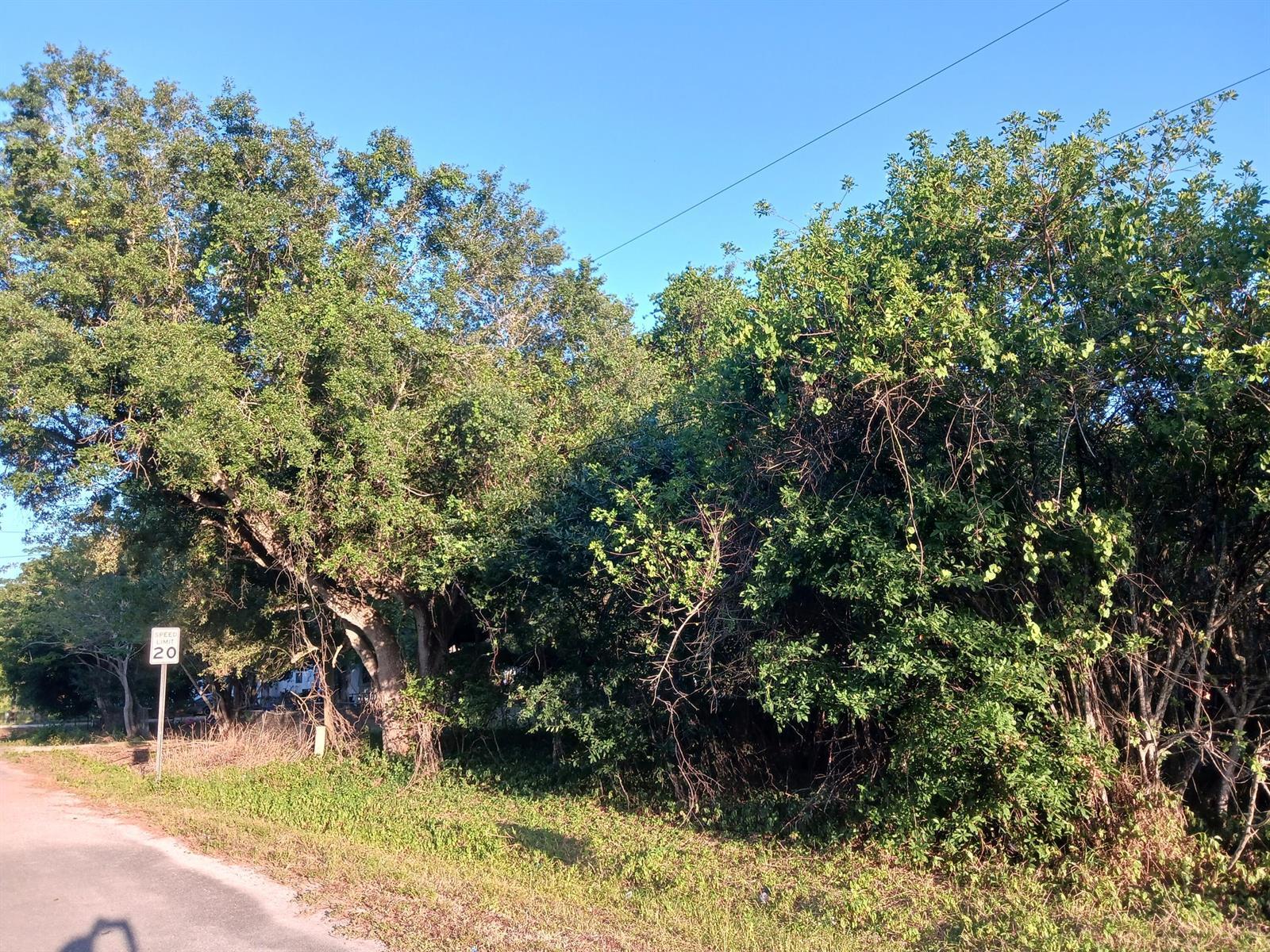 7025 NE 11TH Lane, Okeechobee FL 34974 photo 2