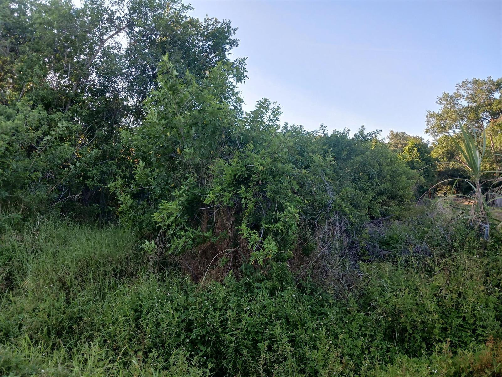 7025 NE 11TH Lane, Okeechobee FL 34974 photo 3