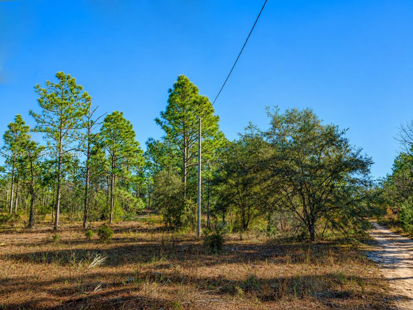 130 Indianapolis St, Palatka FL 32640 photo 4