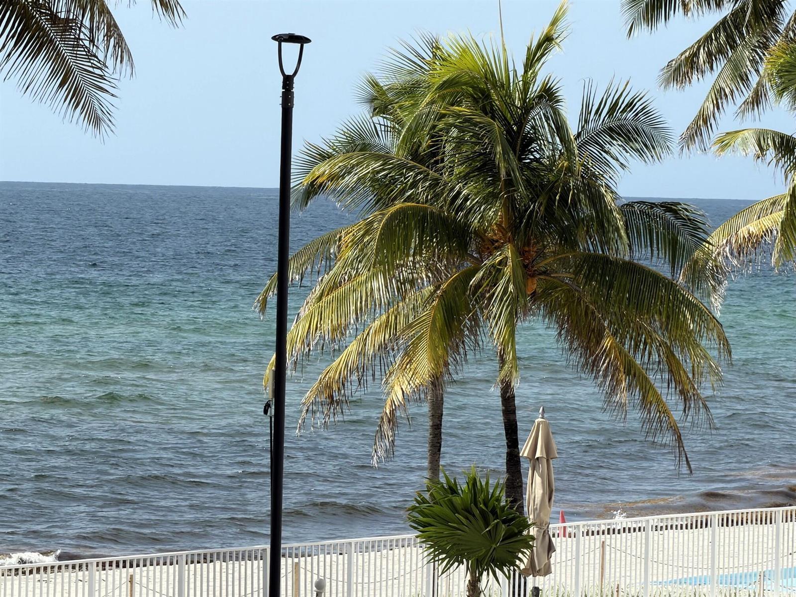 2101 S Ocean Drive # 505, Hollywood FL 33019 photo 4