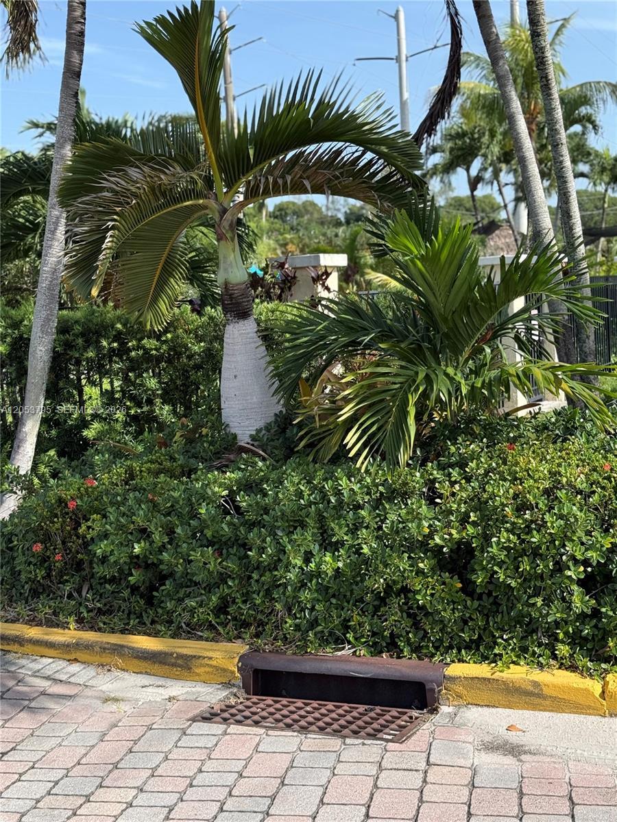 3600 N 56th Ave # 115, Hollywood FL 33021 photo 5