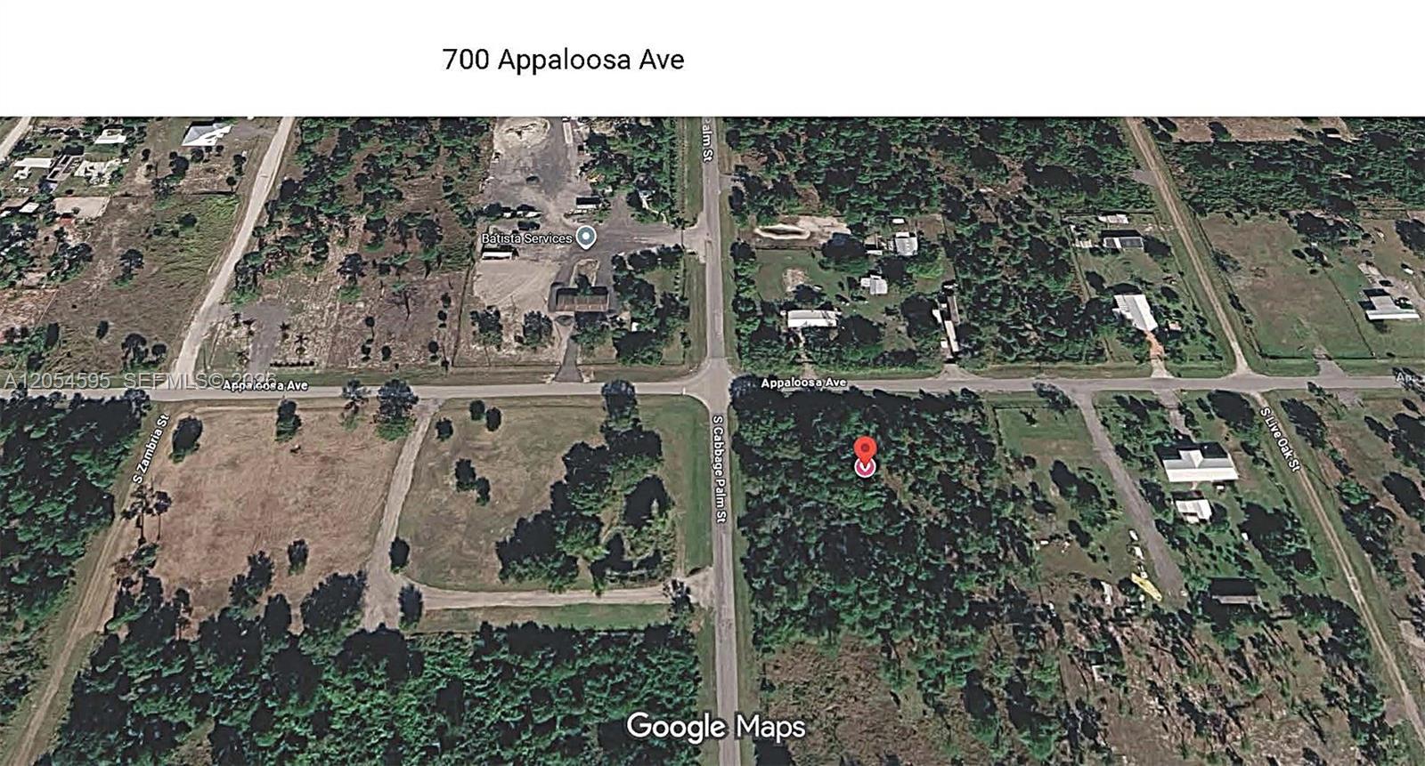 700 Appaloosa Ave  Clewiston, Clewiston FL 33440 photo 3