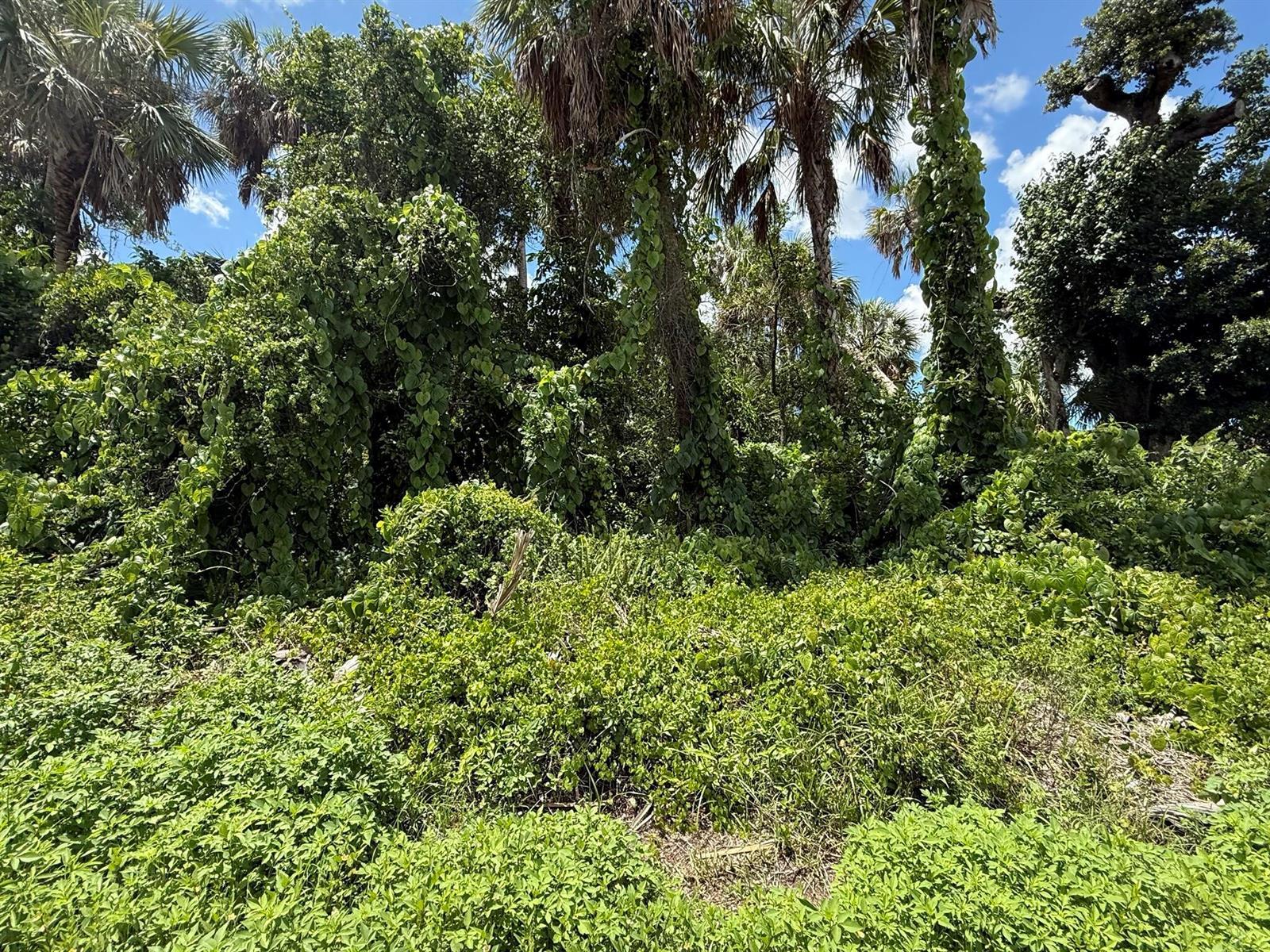 16459 Bauers Avenue, Port Charlotte FL 33954 photo 3