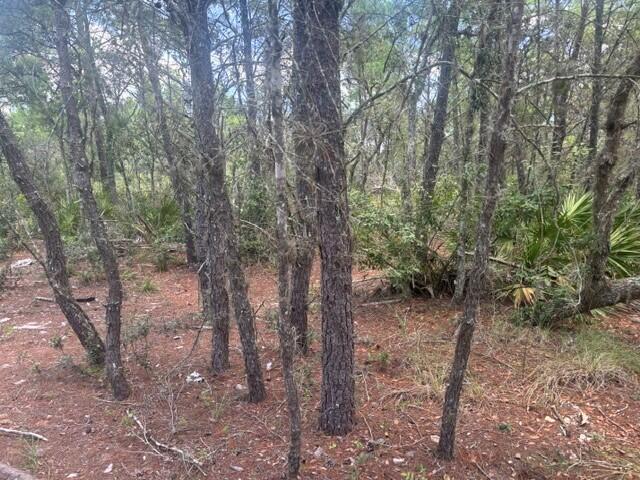 0 Us Hwy 27, Lake Wales FL 33859 photo 2