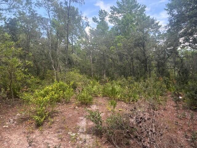 0 Us Hwy 27, Lake Wales FL 33859 photo 3