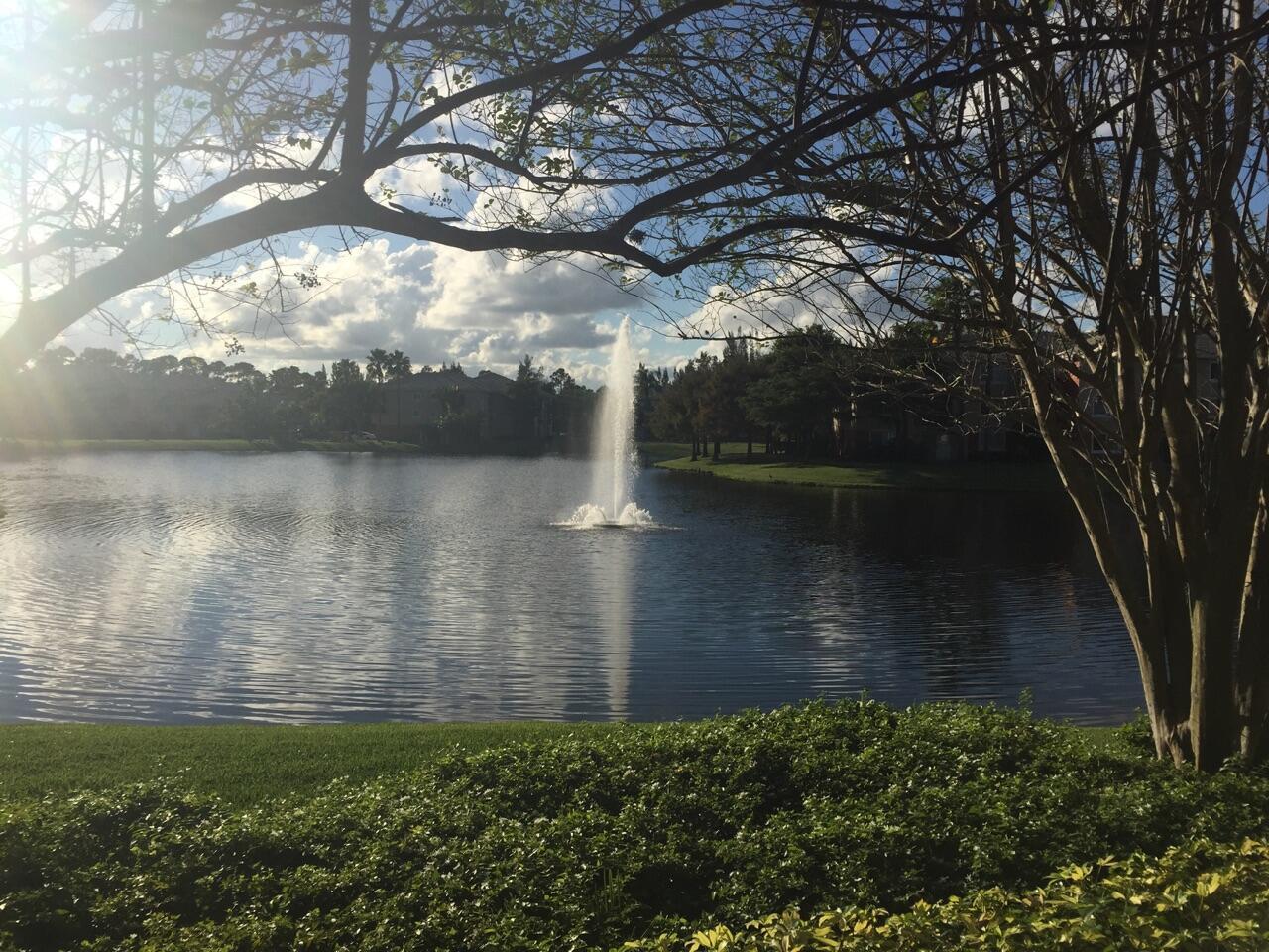 4163 N Haverhill Road # 1217, West Palm Beach FL 33417