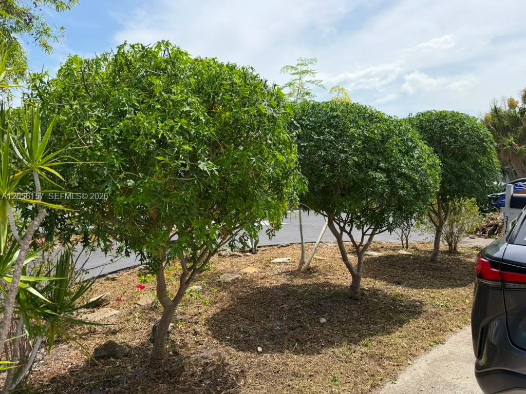 3160 NW 63rd St, Fort Lauderdale FL 33309 photo 3
