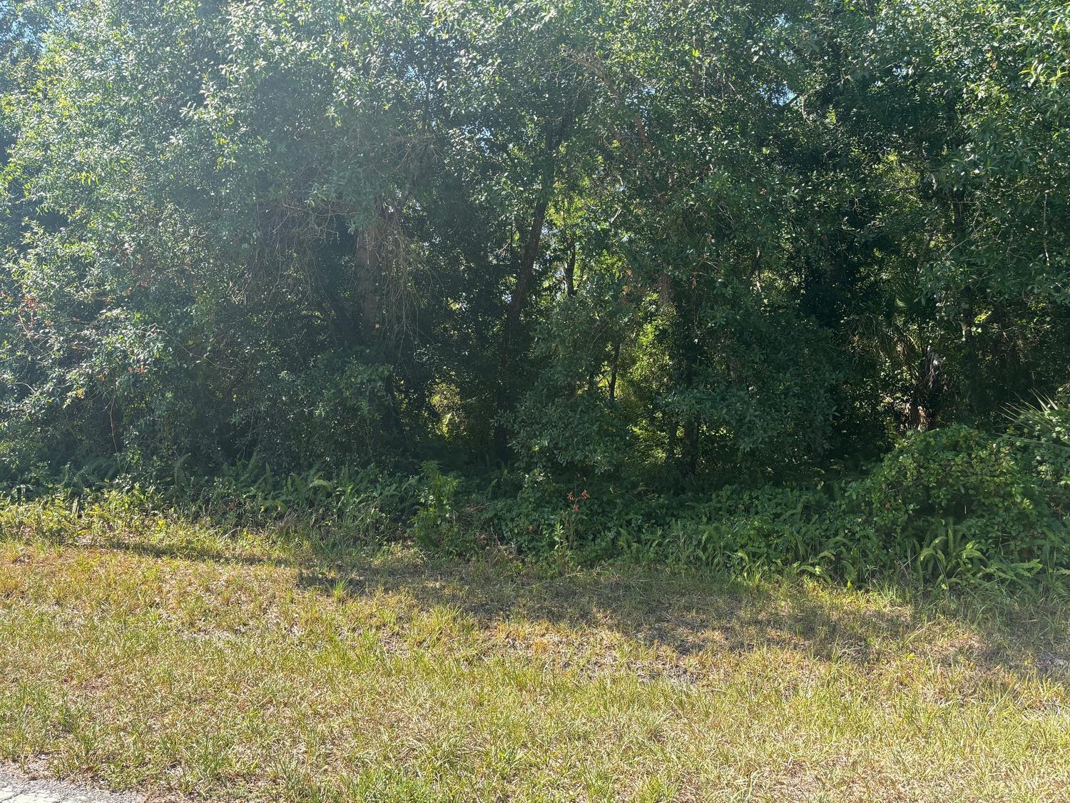 7732 NW 84th Court, Okeechobee FL 34972 photo 2