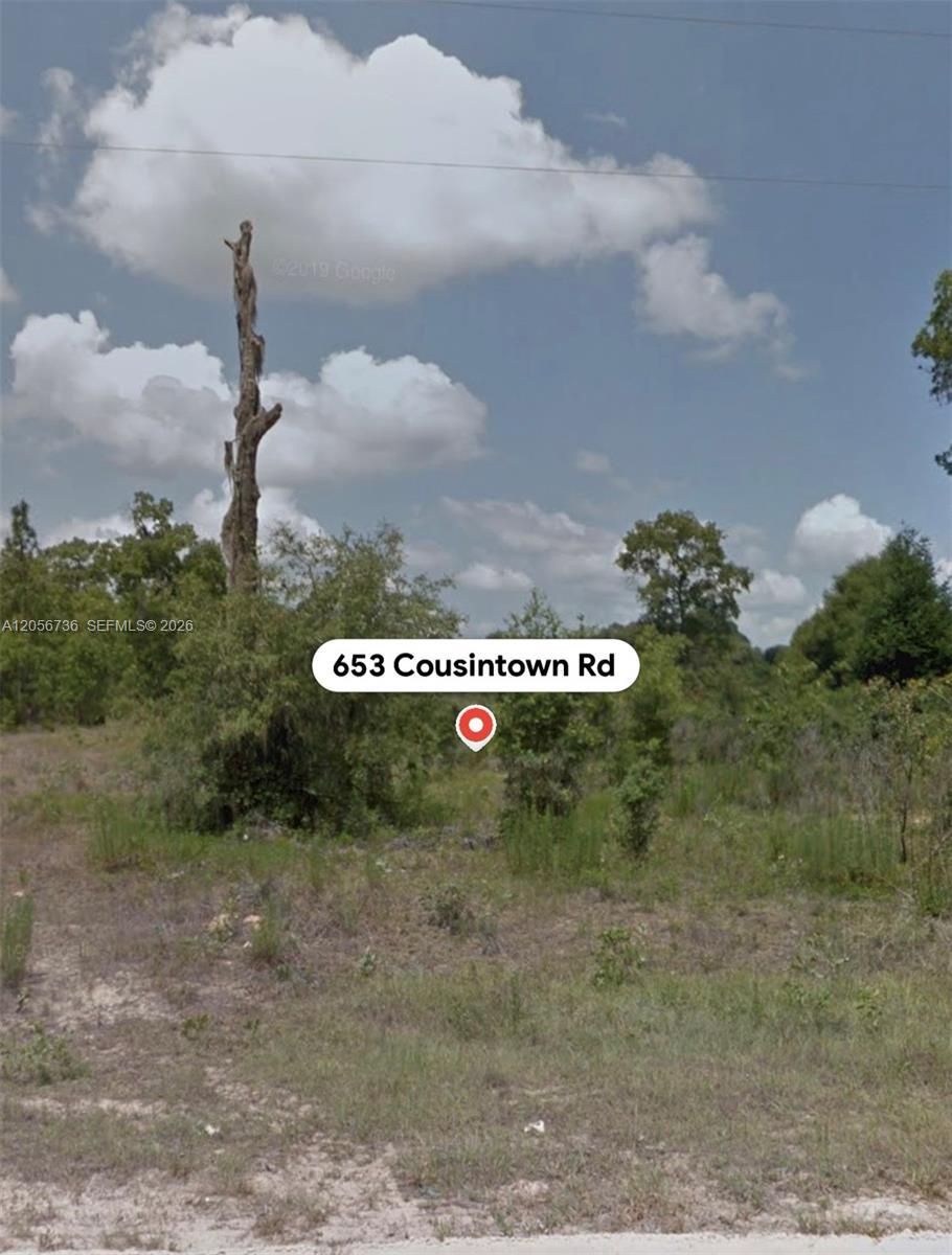 653 COUSINTOWN RD, Other City - In The State Of Florida FL 32148 photo 5