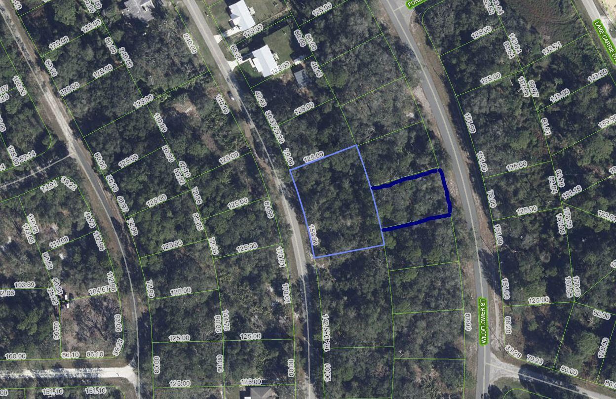 1012 Wildflower Street, Lake Placid FL 33852 photo 5