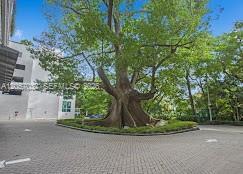 1861 NW S River Dr # 2310, Miami FL 33125 photo 2