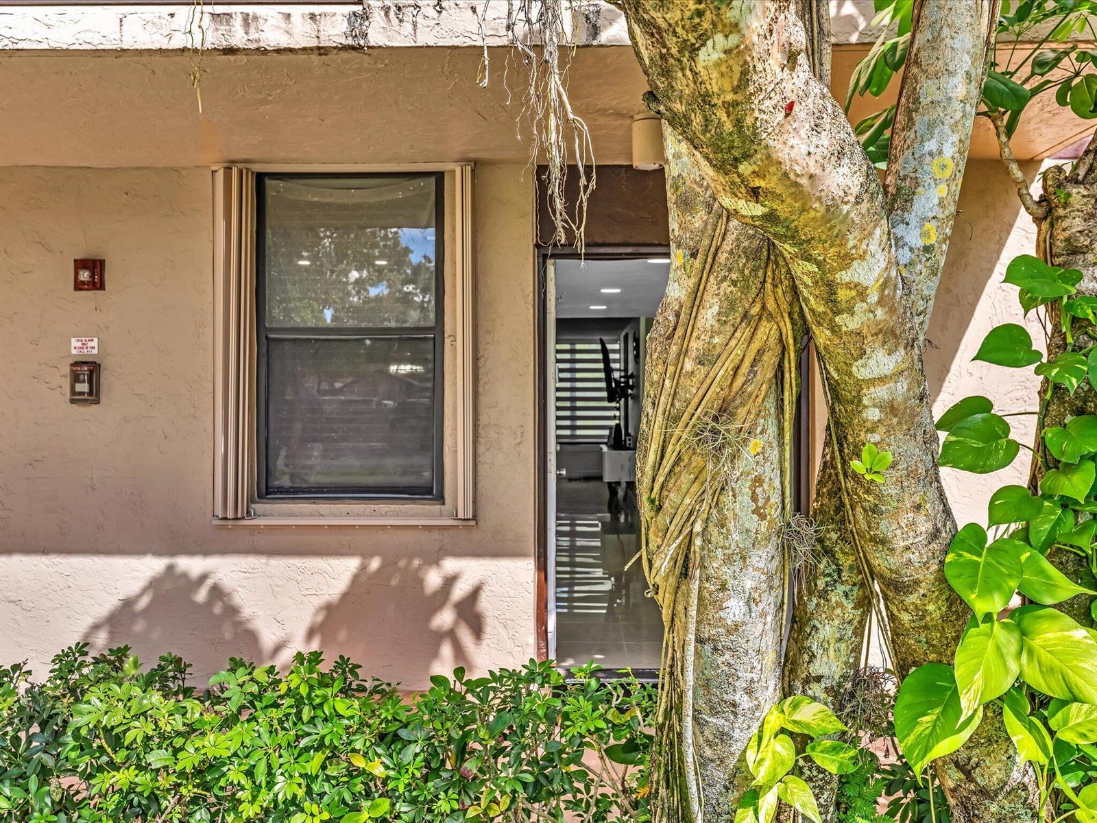 2659 Carambola Circle N # 106, Coconut Creek FL 33066 photo 4