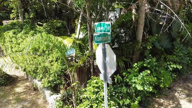 3564 Linden Ln, Miami FL 33133 photo 4