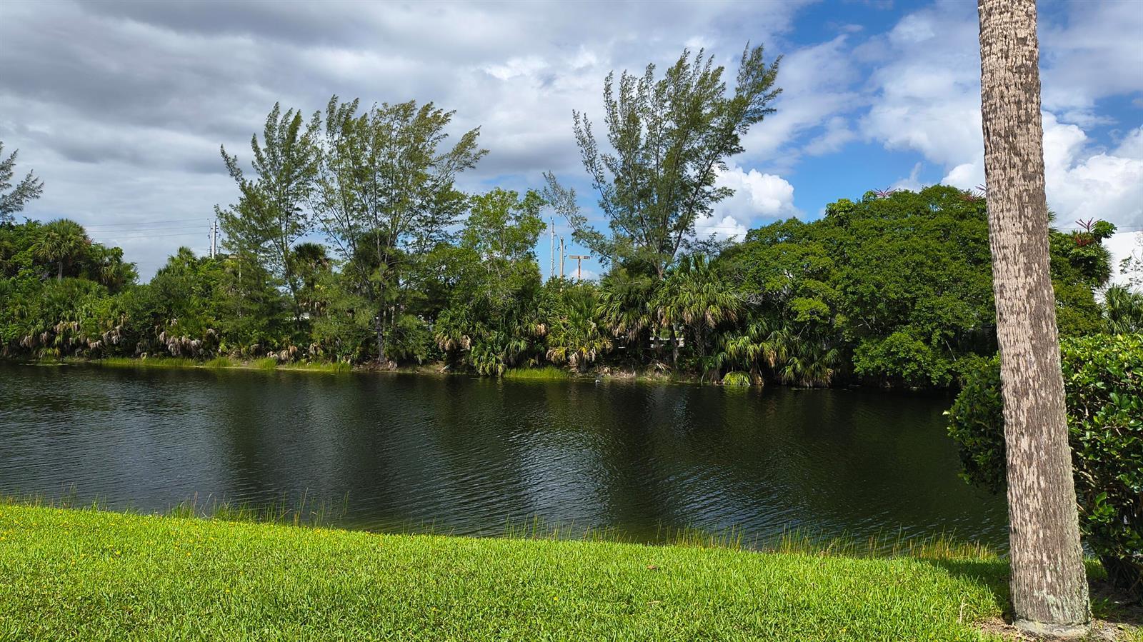 173 Lake Meryl Drive, West Palm Beach FL 33411 photo 5