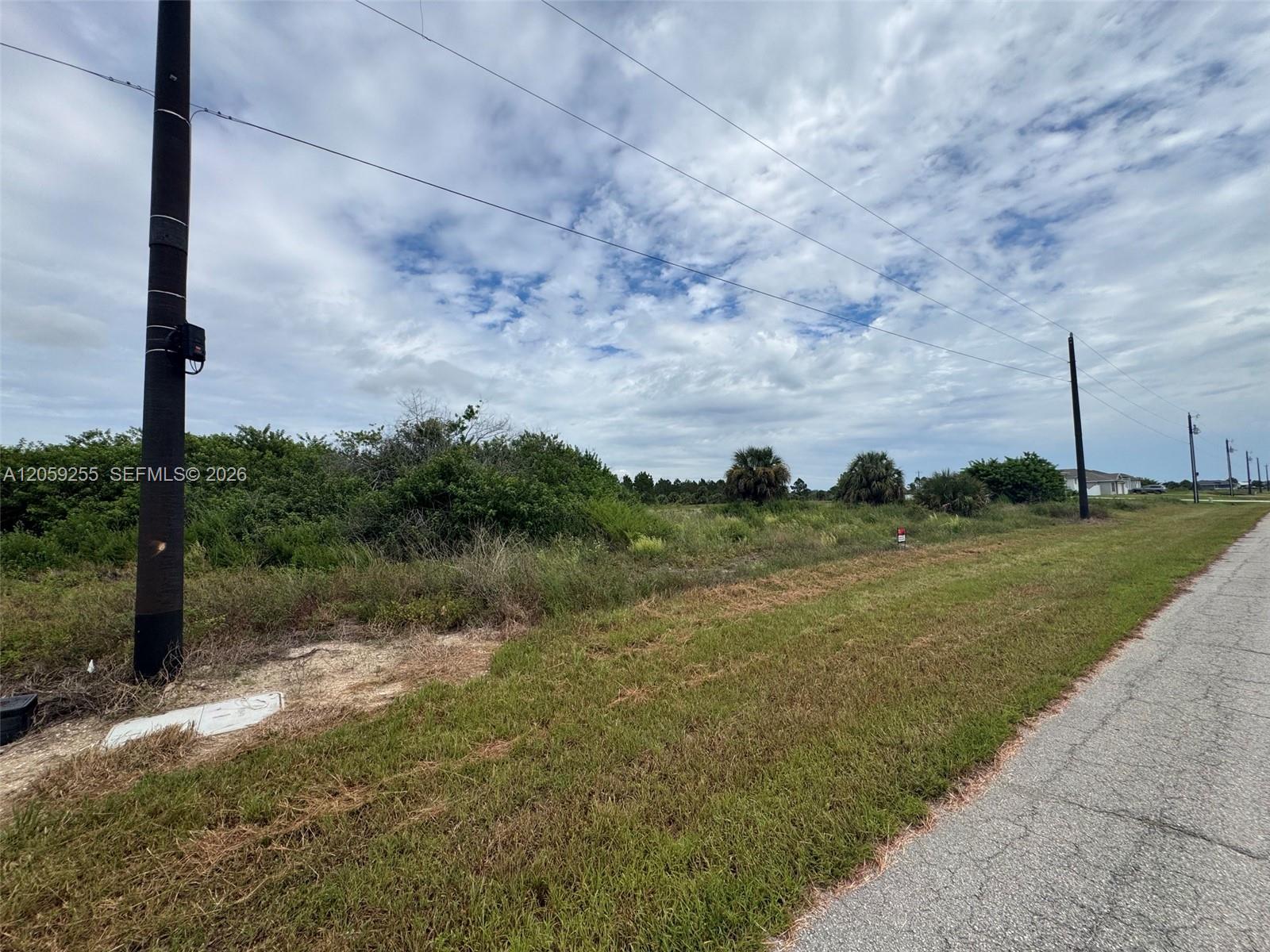 118 Bethlehem Pl, La Belle FL 33935 photo 2