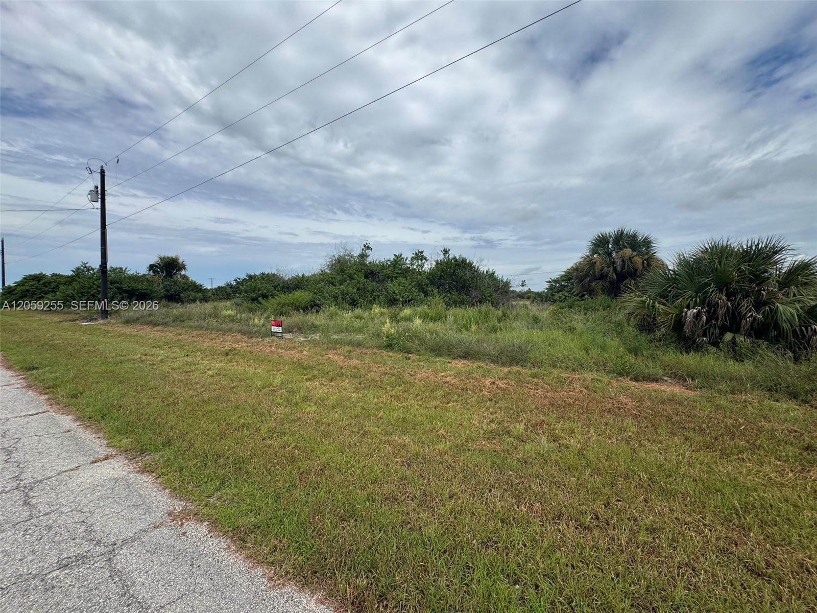 118 Bethlehem Pl, La Belle FL 33935 photo 3