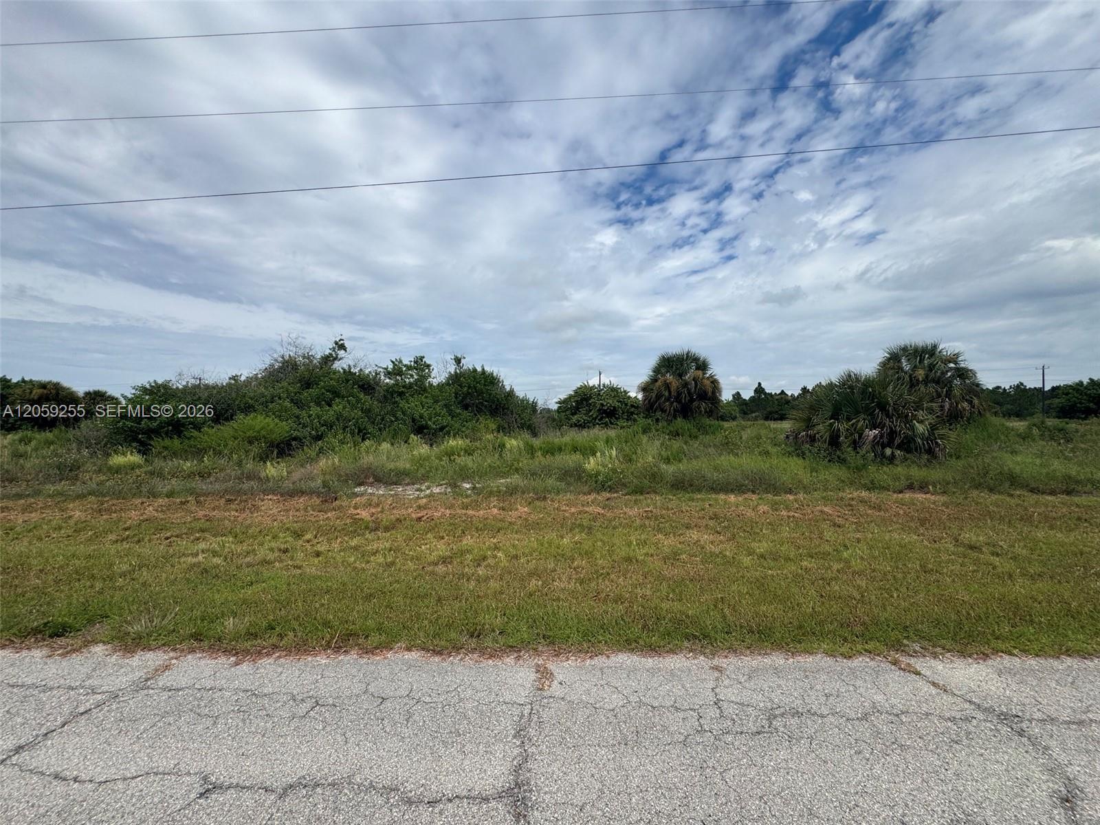 118 Bethlehem Pl, La Belle FL 33935