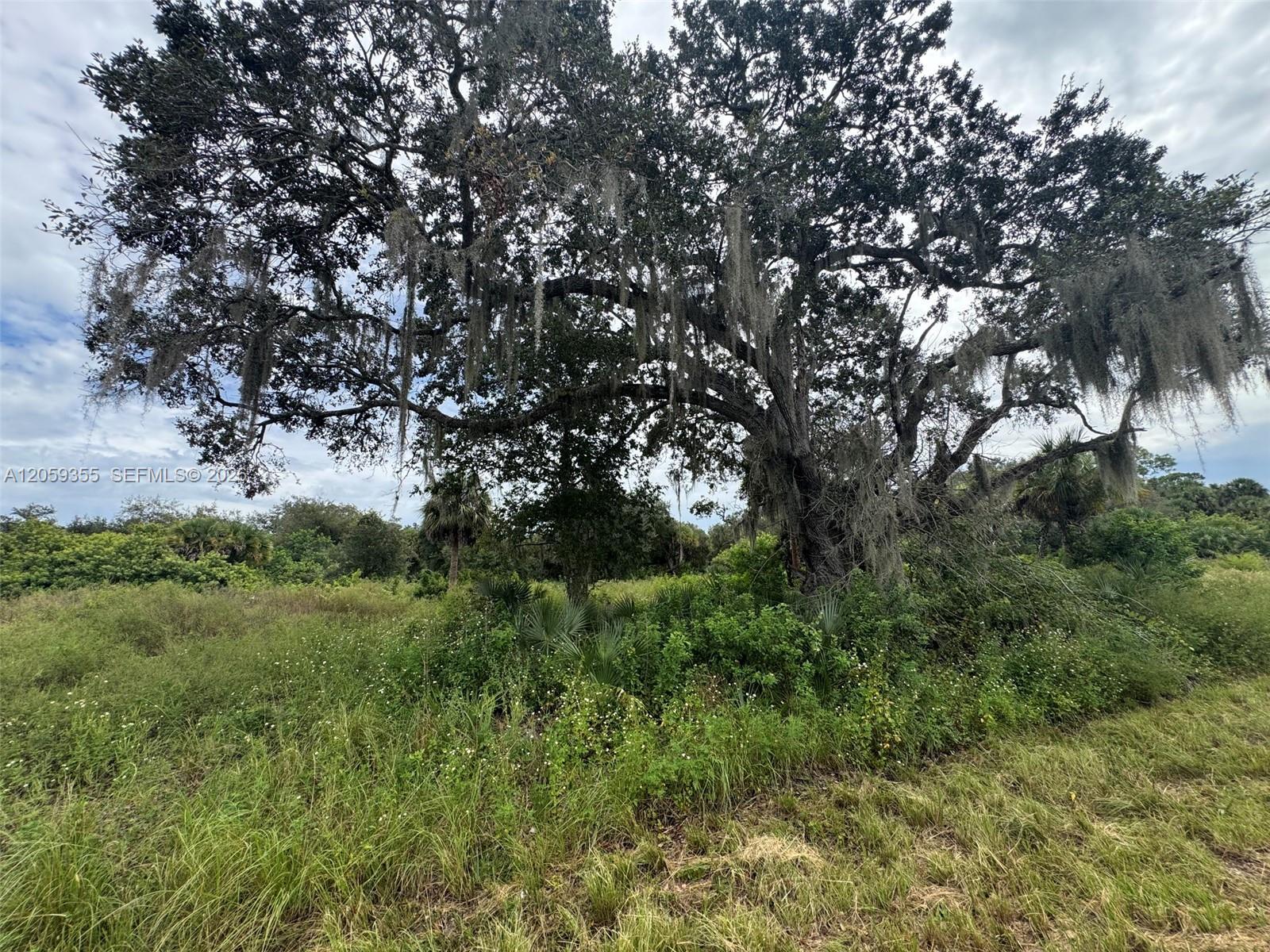 621 Trumpet Dr, La Belle FL 33935 photo 2