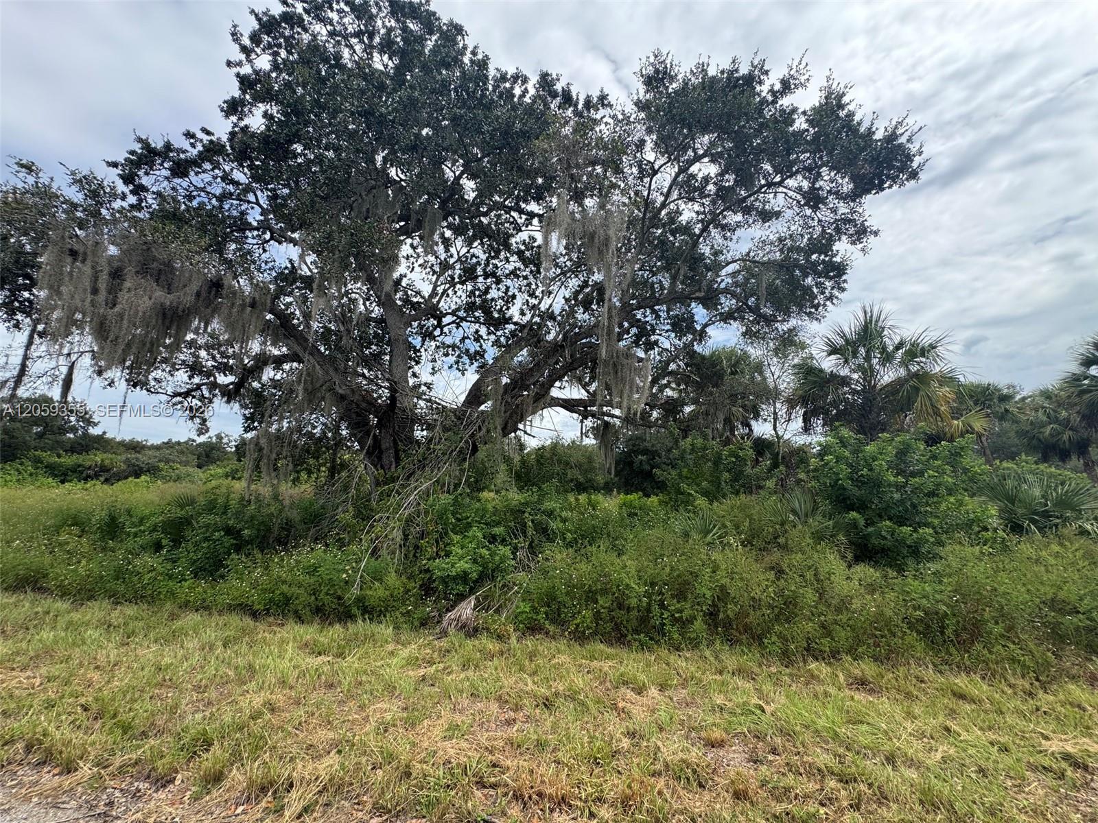 621 Trumpet Dr, La Belle FL 33935
