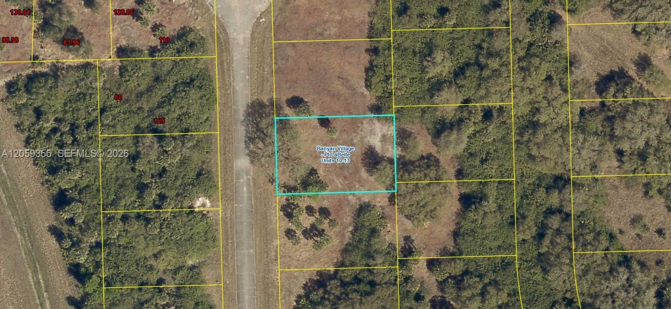 621 Trumpet Dr, La Belle FL 33935 photo 5