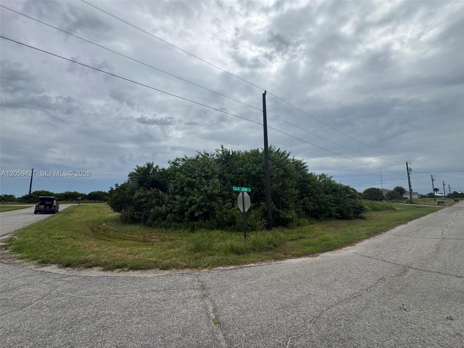 501 Ella Jean Pl, La Belle FL 33935