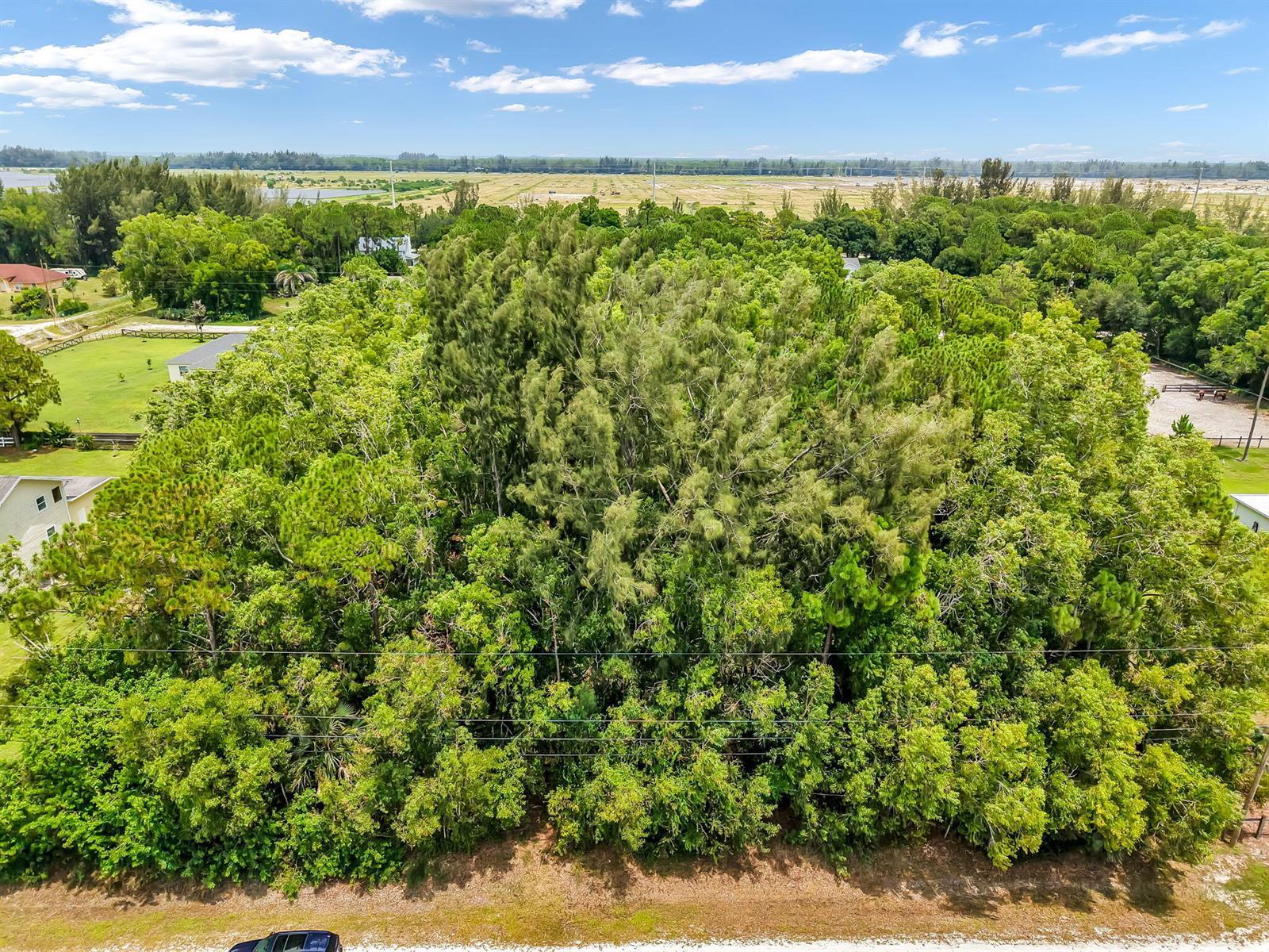 0 49 Street N, FL 33470 photo 4