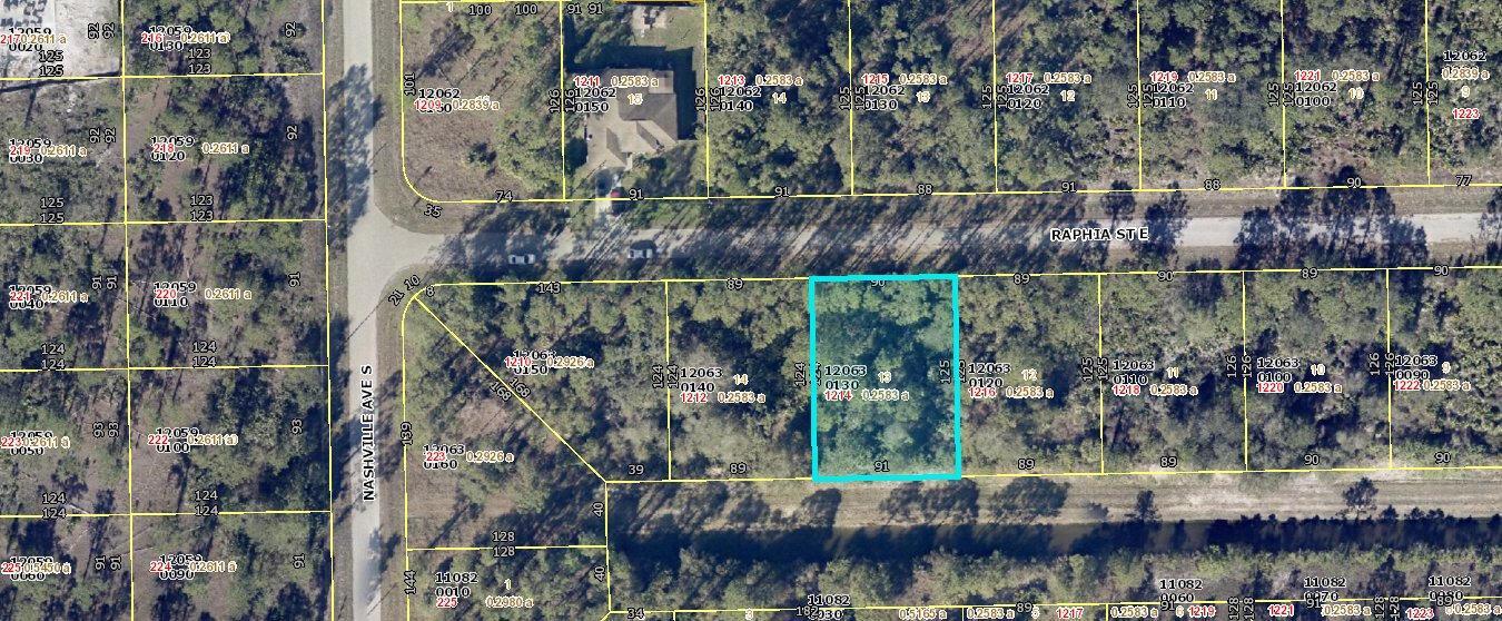1214 Raphia Street E, Lehigh Acres FL 33974 photo 2
