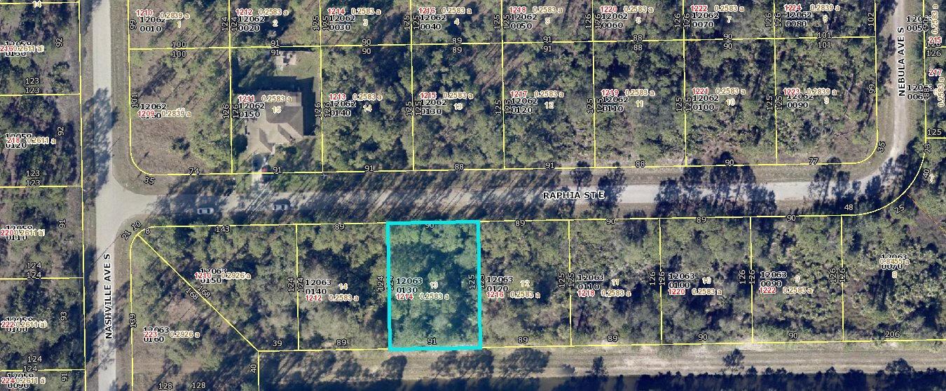 1214 Raphia Street E, Lehigh Acres FL 33974 photo 3